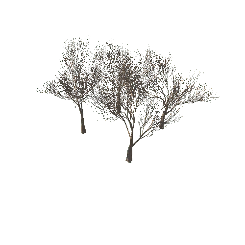 Tree silhouette Dry Tree Or Dead Tree003 coroa fbx